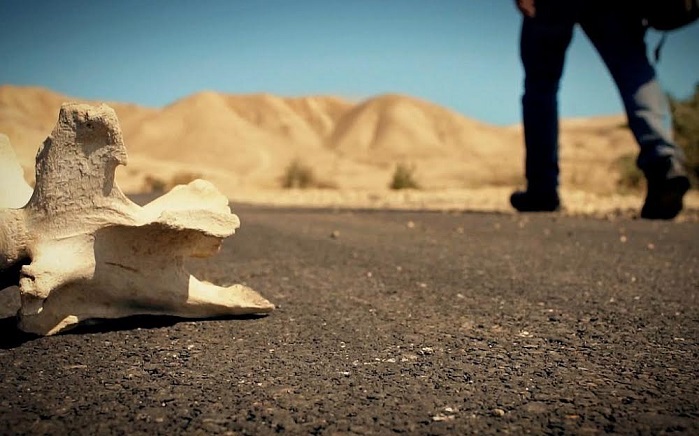  وزير الخارجية الإسرائيلي: سنعود لسياسة الاغتيالات 