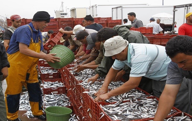  سَمك ميناء طانطان.. 130 ألف طن برقم معاملات فاق المليار و184 مليون درهم 