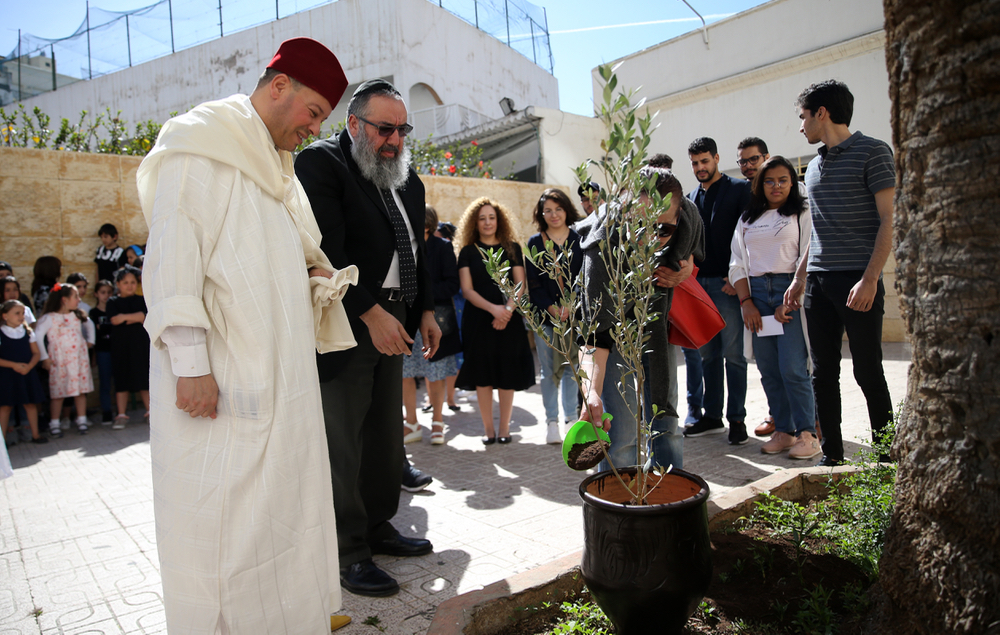 مبادرة "غرس الأخوة".. غرس ثلاثة من شجيرات الزيتون أمام كنيسة وكنيس ومسجد