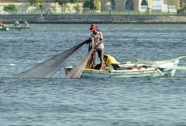  في دلتا نِيل مصر.. كل حظ الفقراء في شباك يَرمونها في مياة النيل 