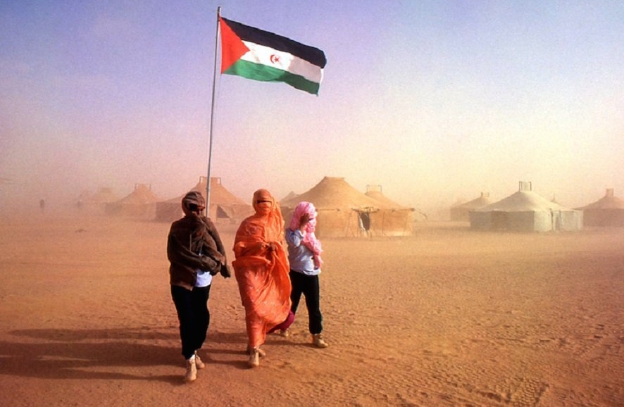  نواب مغاربة ببرلمان عُموم إفريقيا يدعون لإحصاء لاجئي "البوليساريو" 