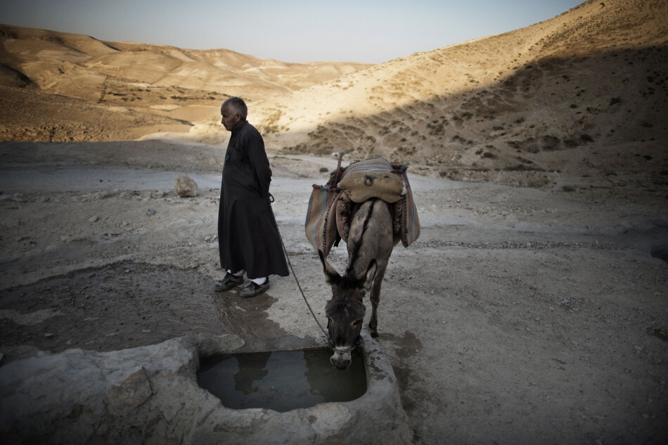 المَجلس العربي للمياه يُحذر من "الفقر المائي" والعطش في الدول العربية