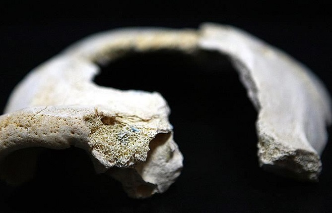  العثور على أحافير بشرية تعود لأكثر من 300 ألف عام 