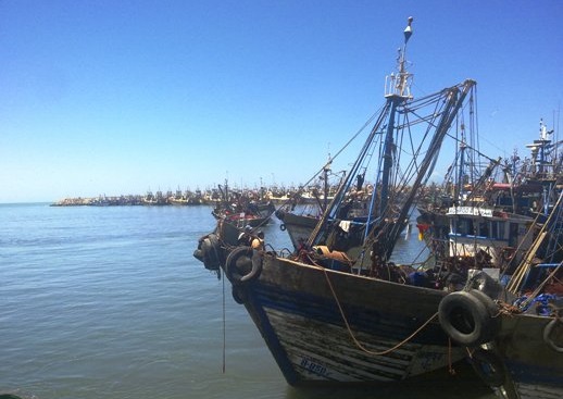 الحكومة المغربية تؤكد أن تنفيذ اتفاق الصيد البحري مع الاتحاد الأوروبي كان "مرضيا للطرفين" وترهن تجديده بنتائج تقييمه