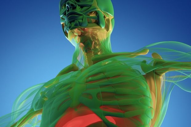  ماذا يحدث للجسم أثناء الصيام في شهر رمضان؟ 