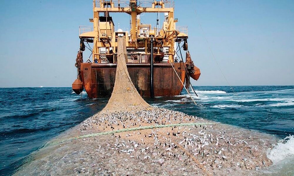  البرلمان يُصادق على اتفاقية الصيد.. أطنان من الأسماك مُقابل 48 مليون أورو سنويا! 