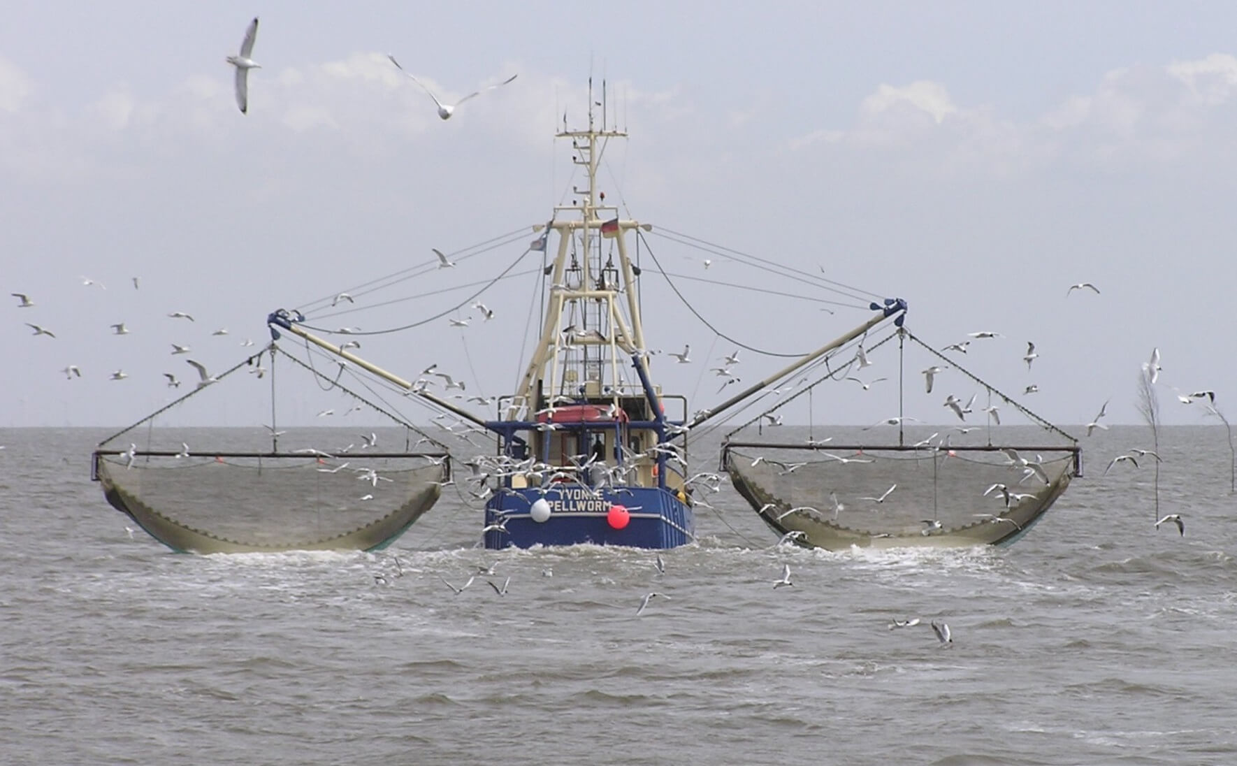 إسبانيا تأمل عودة بواخرها للصيد في المياه المغربية خلال يوليوز المقبل