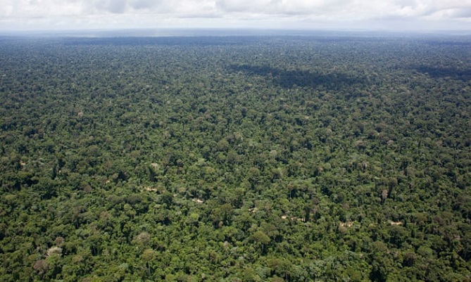  أول ندوة علمية دولية بالرباط حول الهندسة الغابوية 