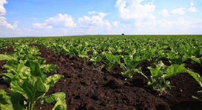 مبادرة المثمر لجامعة محمد السادس توسع نطاق عرضها لفائدة الفلاحين