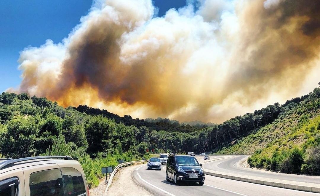  حريق يأتي على 40 هكتارا من الغطاء الغابوي بجماعة "الحصن" بتطوان 
