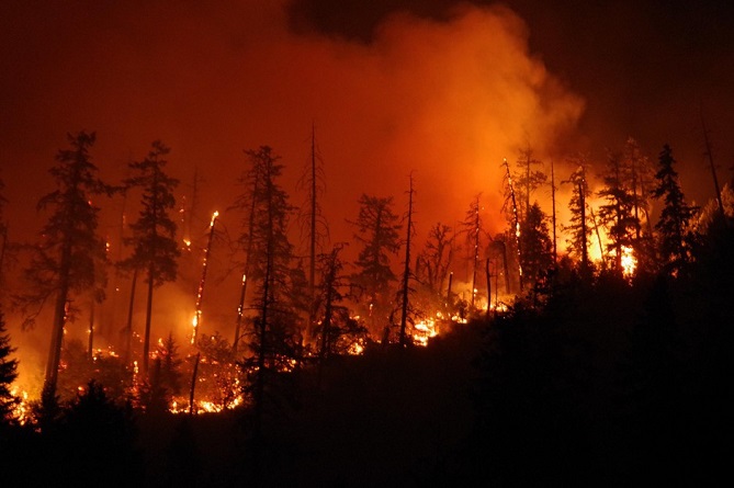  حرائق تجتاح 480 هكتارا من الغابات الفرنسية 