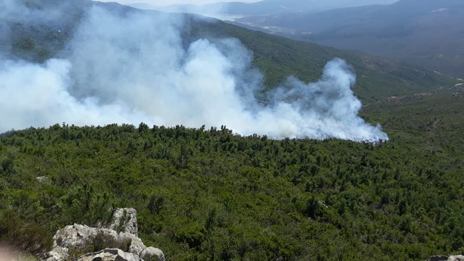الوقاية المدنية تعلن السيطرة على حريق عين الحصن