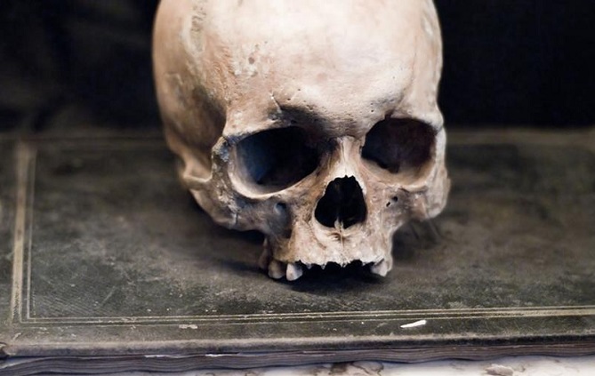  كتاب لصحفي ألماني بارز.. عن الحياة بعد وفاته! 