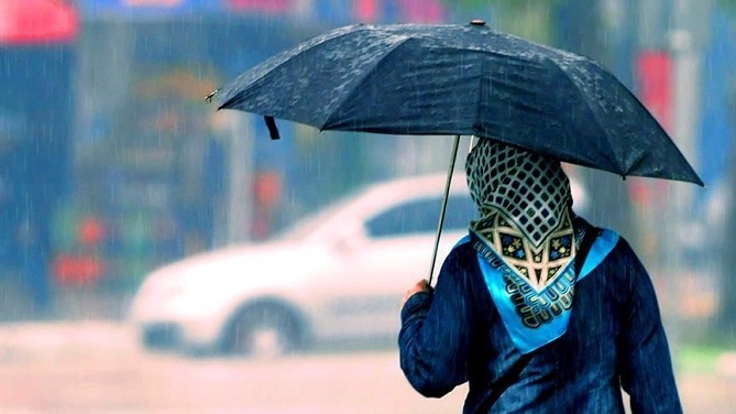 مجلس المسلمين في ألمانيا يمنح جوائز الشجاعة