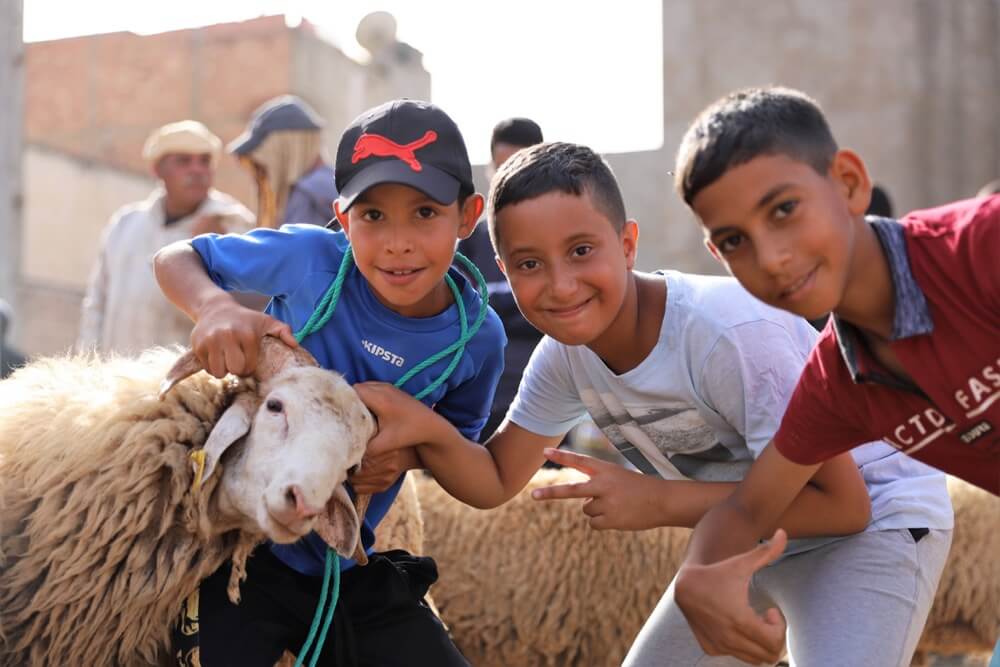  عيد الأضحى بالمغرب.. طقوس دينية متجذرة ومهن موسمية تنتعش 