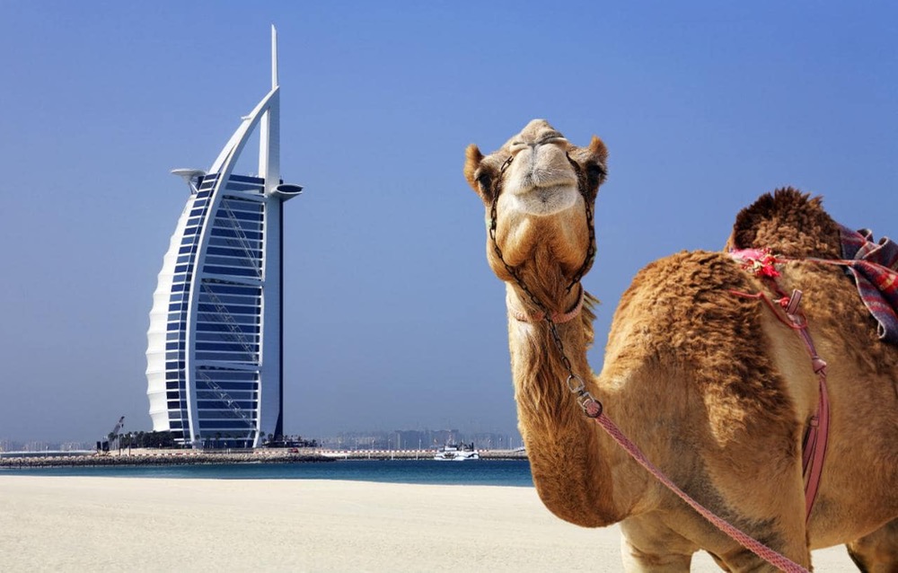 بعد دخولها في حروب وخلافات إقليمية.. الإمارات تئن بعد ركود اقتصادها