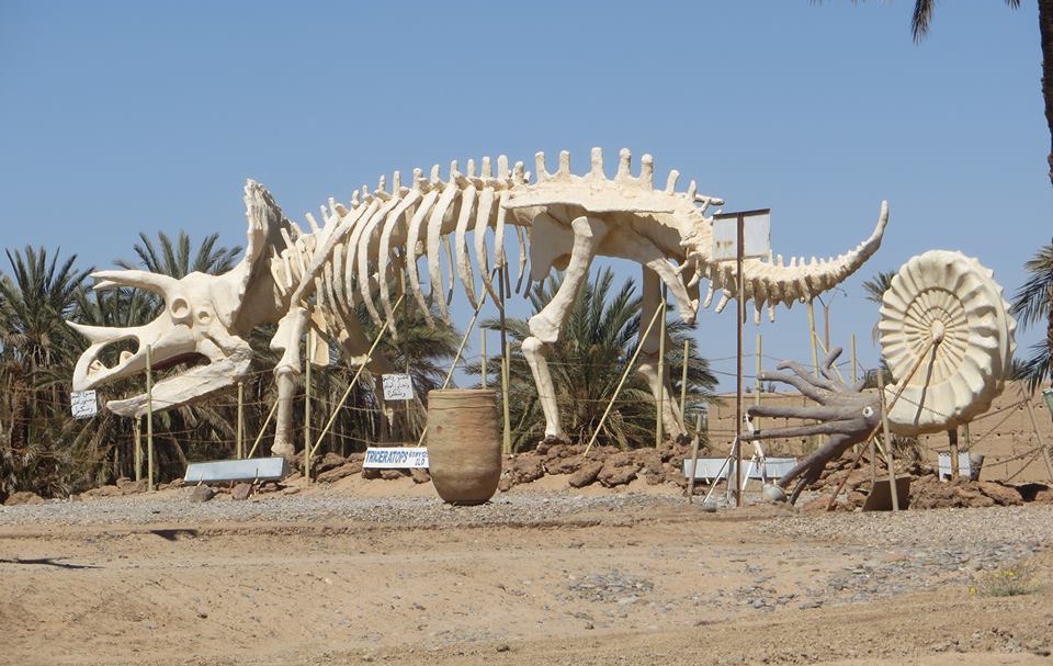  إلموندو: غياب القانون يُحول أرفود إلى مركز عالمي لتجارة "عظام الديناصورات" 