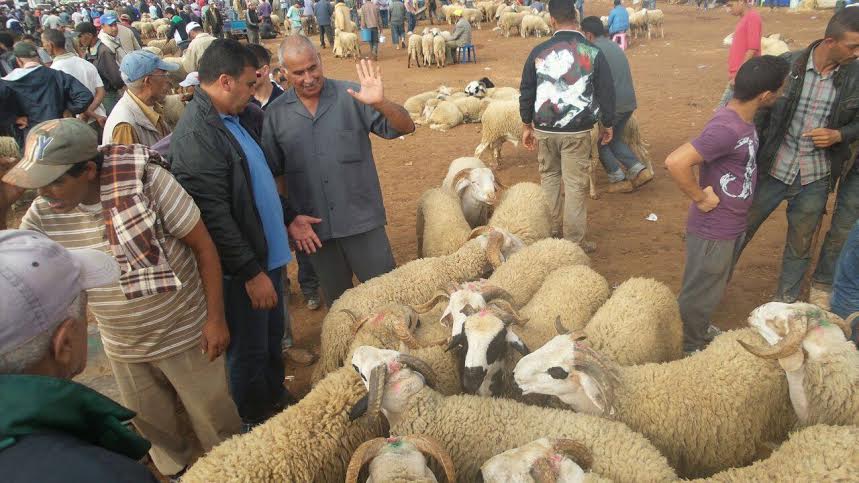  وزارة الأوقاف تعلن يوم 12 غشت عيدا للأضحى 