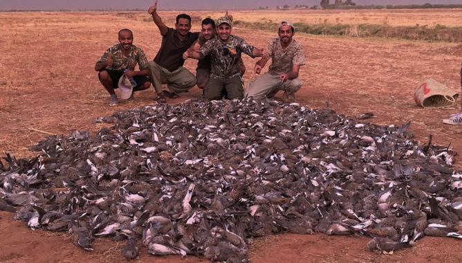 قناصة "مجزرة مراكش" اصطادوا أكثر مما يسمح به القانون بـ 13 مرة!