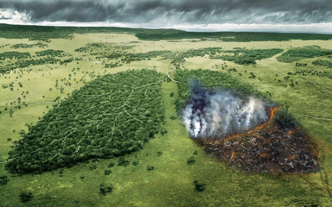 لهذه الأسباب.. غابات الأمازون مهمة جداً للعالم كله!