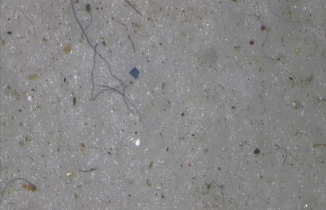 كيف وجد البلاستيك طريقه إلى ثلج القطب الشمالي؟!