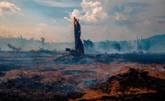 منظمة الصحة العالمية: حرائق الأمازون ستضر الأطفال