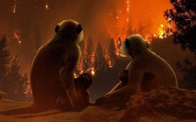  الرئيس البرازيلي: "الطقس سبب حريق الأمازون" 