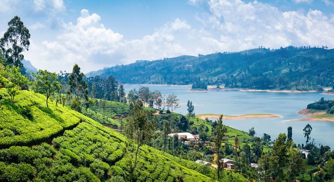  سريلانكا تمنح تأشيرة مجانية لـ 50 دولة 