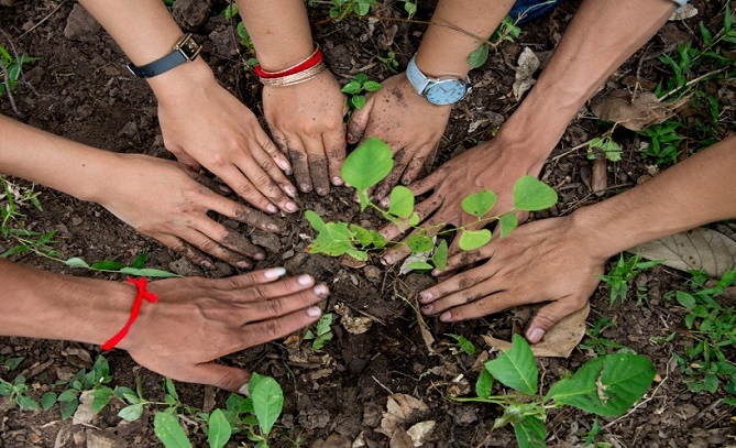 مبادرة لزرع "50 مليون شجرة" بالمغرب