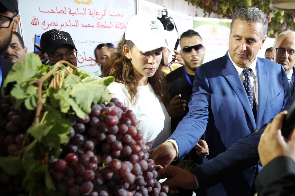 تقرير مجلس جطو يُحرج أخنوش.. انزلاقات بالجملة في تسيير قطاع الفلاحة