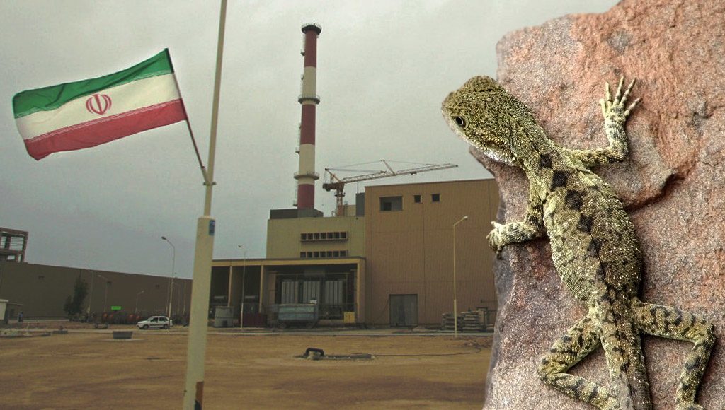 وثائق سرية تكشف كيف دربت المخابرات الأمريكية الحيوانات على التجسس