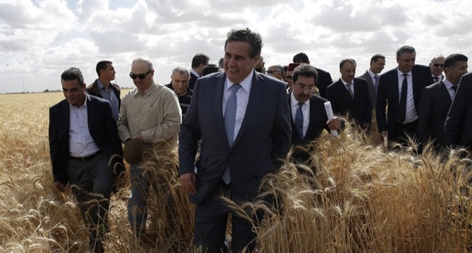 من 5 أشهر إلى 4 فقط.. الحكومة تُعلن تراجع مخزون القمح بالمغرب نتيجة استمرار الحرب بين روسيا وأوكرانيا