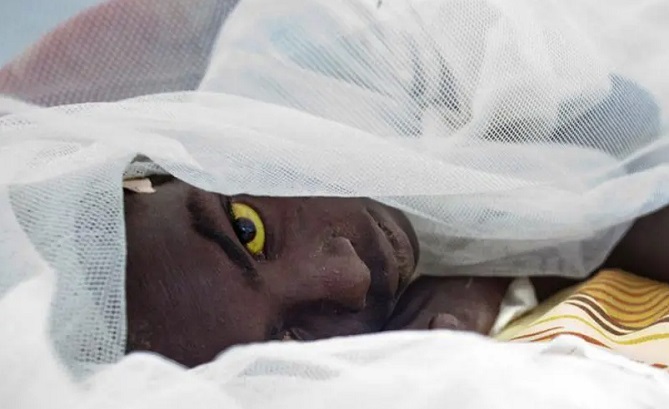 الحمى الصفراء تحصد سبع ضحايا بنيجيريا