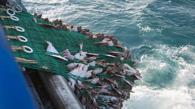  موريتانيا والاتحاد الأوروبي يمددان اتفاق الصيد البحري 