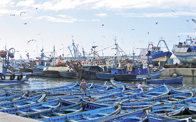 المغرب والاتحاد الأوروبي يخلُصان إلى مواصلة التعاون في مجال الصيد دون تجديد الاتفاقية