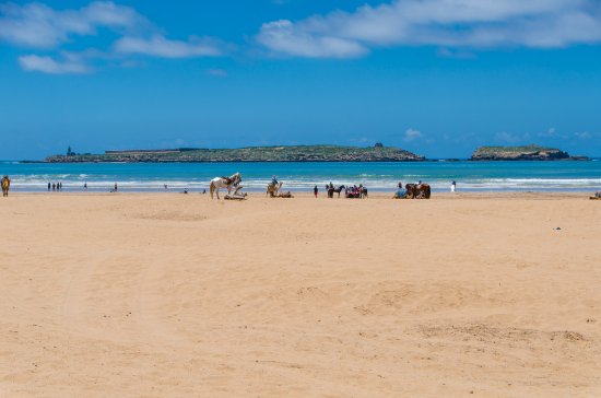 مبادرة بيئية لتنظيف شاطئ الصويرة
