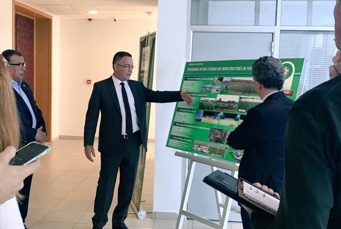  معسكرات المنتخبات تكلف الجامعة الملايين.. ما الجدوى من تشييد مركز المعمورة؟ 