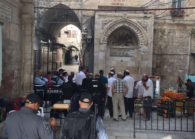  188 مستوطنا يقتحمون باحات المسجد الأقصى 