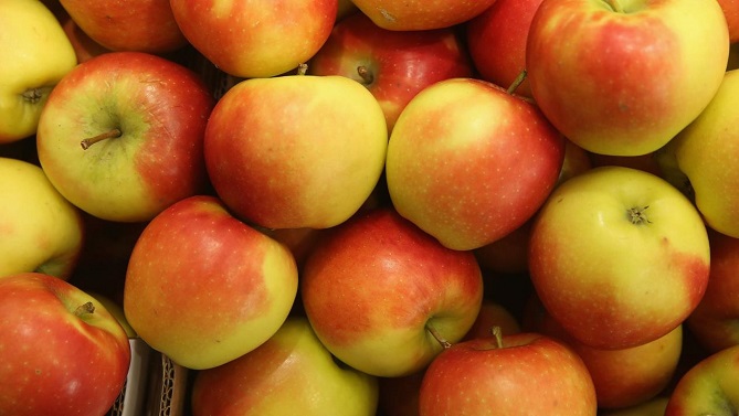 ميدلت تستضيف الملتقى الوطني للتفاح