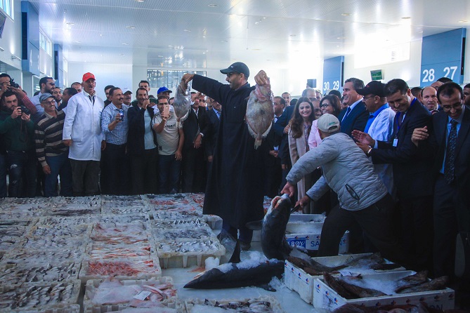 صادرات المغرب من السمك إلى البرازيل تتراجع في نصف 2019