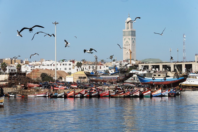 مسجد الحسن الثاني يتحول إلى فضاء "صديق للبيئية"