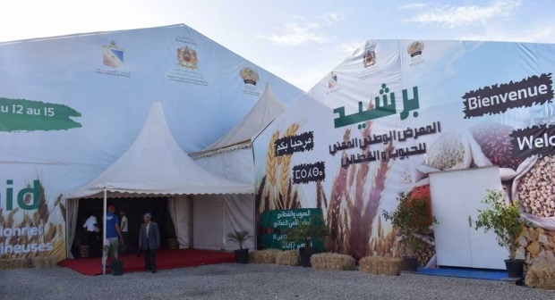 برشيد تحتضن المعرض الوطني للحبوب والقطاني