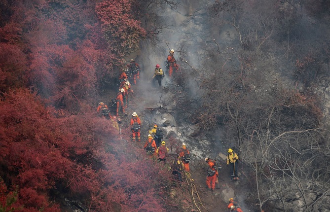  نحو 600 رجل إطفاء يكافحون حريقا في كاليفورنيا 