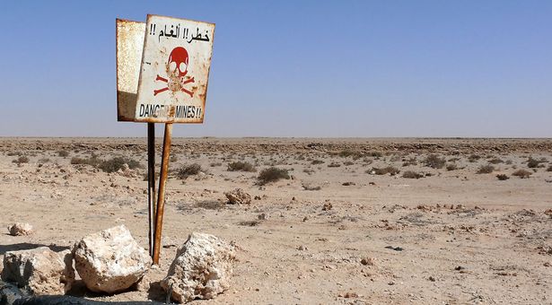  منذ 1975.. وفاة 812 وتحييد 96 ألف لغم أرضي وضعتها البوليساريو في الصحراء 