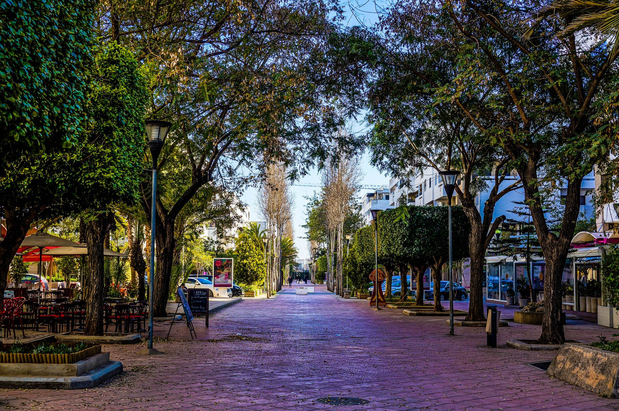 بعد زيارة ولي العهد لـ"مَحج الرياض".. والي الرباط يقلص مساحات المقاهي المستغلة