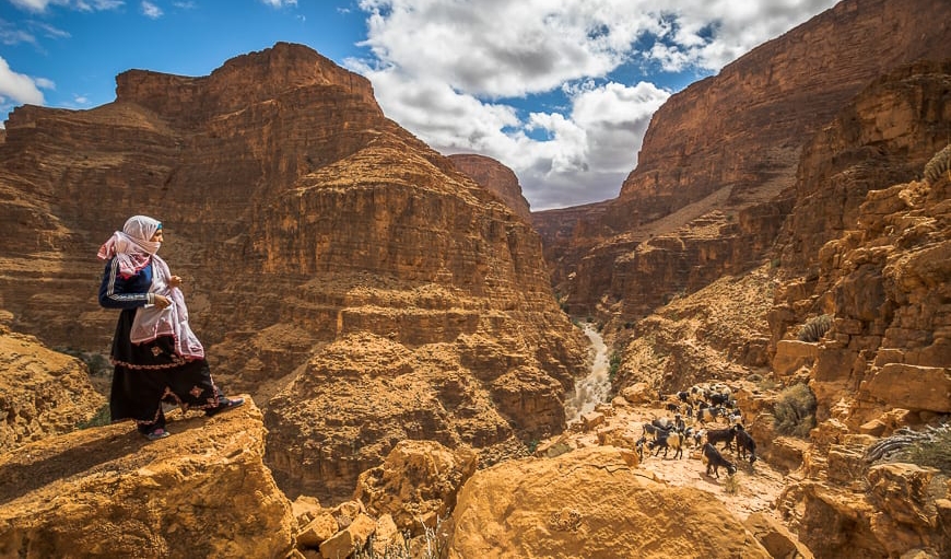  ناسا تنشر صورة "مُذهلة" لطبقات جبال الأطلس المغربية بالأشعة تحت الحمراء 