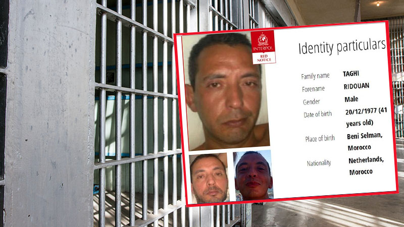  نظرا لخطورته.. الإمارات وهولندا "يَخْرِقان" القانون في قضية "التاغي" 