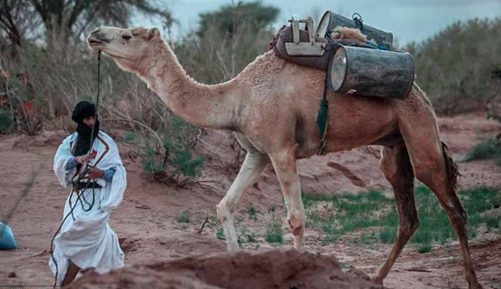 مهرجان الرحل بتويزكي يحتفي بثقافة الرحل بإفريقيا