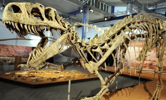 باحثون ألمان: هذا هو سبب انقراض الديناصورات