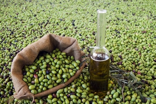  180 مليون درهم رقم معاملات قطاع الزيتون بصفرو 